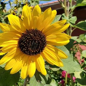 Meet your Posher, Fernando